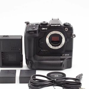 【極上品】 OLYMPUS OM-D E-M1X ボディオリンパス #3097