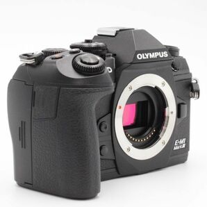 【ショット数4641回/極上品】 Olympus OM-D E-M1 Mark III ブラック ボディ オリンパス #3206の画像3