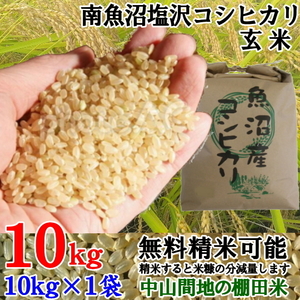 魚沼産コシヒカリ 南魚沼塩沢コシヒカリ玄米10kg令和5年産