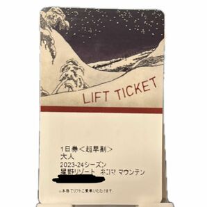 ①ネコママウンテン　大人　一日券　星野リゾート　猫魔　2枚セット