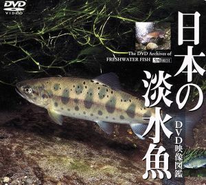 日本の淡水魚　ＤＶＤ映像図鑑／（動物）