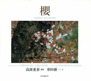 桜 ＣＨＥＲＲＹ　ＢＬＯＳＳＯＭＳ／高波重春【撮影】，串田孫一【文】