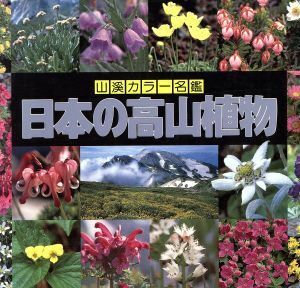 日本の高山植物 山渓カラー名鑑／豊国秀夫【編】