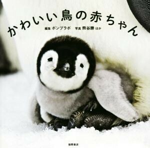 かわいい鳥の赤ちゃん ポンプラボ／編集　熊谷勝／ほか写真