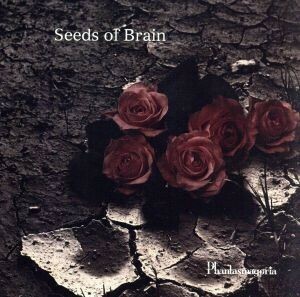 Ｓｅｅｄｓ　ｏｆ　Ｂｒａｉｎ≪完全限定盤≫／Ｐｈａｎｔａｓｍａｇｏｒｉａ