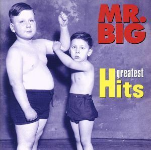 グレイテスト・ヒッツ／ＭＲ．ＢＩＧ