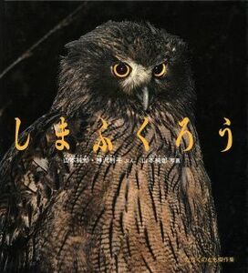 しまふくろう かがくのとも傑作集／神沢利子【文】，山本純郎【写真・文】