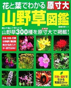 原寸大　花と葉でわかる山野草図鑑／高橋良孝【監修】