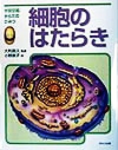 細胞のはたらき 学習図鑑からだのひみつ／ヌリア・ロカ(著者),マルタ・セラーノ(著者),小野直子(訳者),大利昌久(監修)