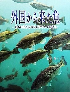 外国から来た魚 日本の生きものをおびやかす魚たち／松沢陽士【著】