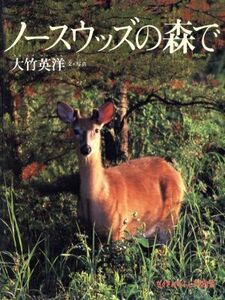 ノースウッズの森で たくさんのふしぎ傑作集／大竹英洋(著者)