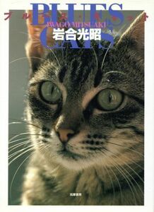 写真集　ブルース・キャット／岩合光昭