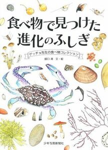 食べ物で見つけた進化のふしぎ ゲッチョ先生の食べ物コレクション／盛口満(著者)