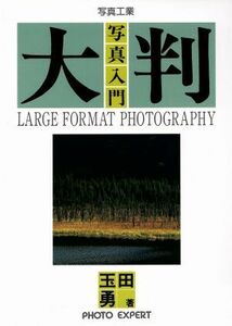  large size photograph introduction | sphere rice field .( author )