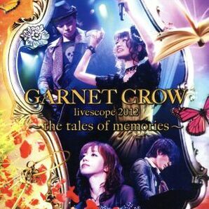 ＧＡＲＮＥＴ ＣＲＯＷ ｌｉｖｅｓｃｏｐｅ ２０１２～ｔｈｅ ｔａｌｅｓ ｏｆ ｍｅｍｏｒｉｅｓ～／ＧＡＲＮＥＴ ＣＲＯＷの画像1