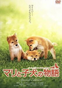 マリと子犬の物語　スペシャル・エディション／船越英一郎,松本明子,猪股隆一（監督）,桑原眞二（原作）,大野一興（原作）,久石譲（音楽）