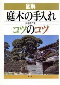 図解　庭木の手入れコツのコツ／船越亮二【著】