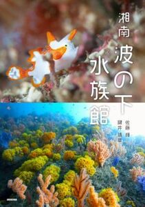 湘南　波の下水族館／佐藤輝(著者),鍵井靖章(著者)