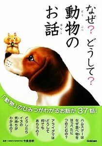 なぜ？どうして？動物のお話 「動物」のひみつがわかるお話が３７話／今泉忠明【監修】