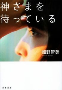 神さまを待っている 文春文庫／畑野智美(著者)