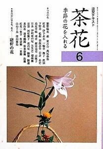 茶花(６) 季節の花を入れる 淡交テキスト４８６／淡交社編集局【編】