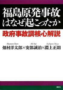 福島原発事故はなぜ起こったか 政府事故調核心解説／畑村洋太郎，安部誠治，淵上正朗【著】