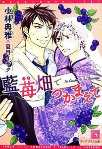 藍苺畑でつかまえて （新書館ディアプラス文庫　３２７） 小林典雅／著