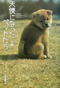 天使になったペットたち　犬編(犬編)／大和書房(編者)