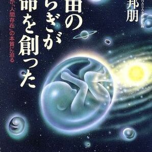 宇宙のゆらぎが生命を創った 現代物理学が「人間存在」の本質に迫る／桜井邦朋(著者)の画像1