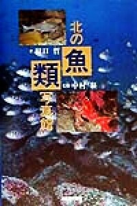 北の魚類写真館／田口哲(著者),中村泉