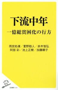 下流中年 一億総貧困化の行方 ＳＢ新書３４０／雨宮処凛(著者),萱野稔人(著者),赤木智弘(著者),阿部彩(著者),池上正樹(著者)