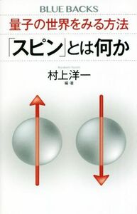 量子の世界をみる方法「スピン」とは何か ブルーバックス／村上洋一(編著)