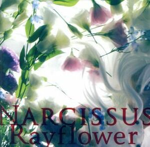【合わせ買い不可】 Narcissus CD Rayflower