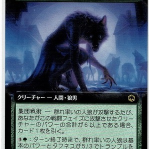 MTG/フォーゴトン・レルム探訪/群れ率いの人狼/Werewolf Pack Leader(日)◇フルアートの画像1