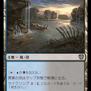 MTG/サンダー・ジャンクションの無法者 統率者/異臭の池(日)-土地の画像1