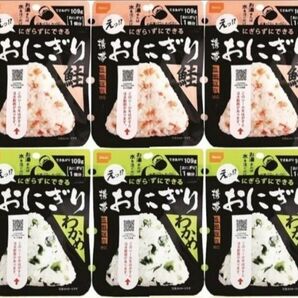 2種10個 尾西の携帯おにぎり 非常食 防災食 備蓄品 携帯食 登山 海外旅行 ご飯 鮭 わかめ 尾西食品 アルファ米 