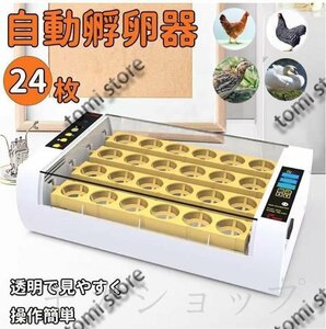 24 sheets small size automatic . egg vessel egg in kyu Beta - automatic rotation egg type temperature humidity digital display alarm easily service energy conservation . egg vessel chicken ... birds 