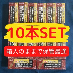 生産終了！在庫限り！【お得10本Set】薬用塩ハミガキ 当帰の力 サンスター 85g