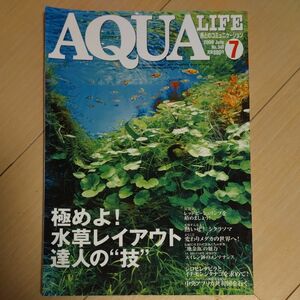 月刊アクアライフ 2008年7月号 水草レイアウト特集