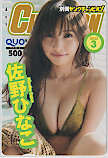  QUO card idol ..... separate volume Young Champion QUO card 500 S0126-0029