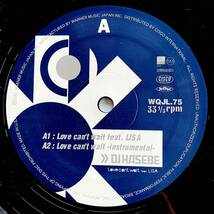 DJ Hasebe Feat. Lisa / Love Can't Wait【12''】2001 / JPN / WEA Japan / WQJL.75 / 検索：333yen vinyl_画像3