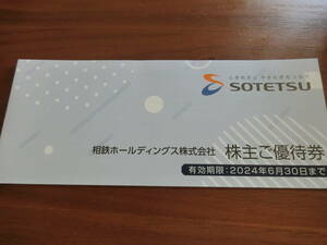  相鉄ホールディングス 株主優待券 冊子 1冊 