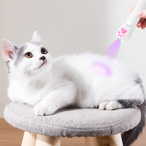 猫 おもちゃ じゃらし LEDポインター 猫グッズ ペット用品 レーザーポインター 犬 USB 充電式 肉球タイプ ストレス解消 グリーンライトの画像9