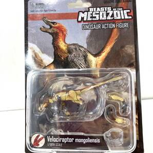 Beast of the mesozoic ヴェロキラプトル マテル ジュラシック 3.75インチ 1/18 アクションフィギュア 恐竜の画像5