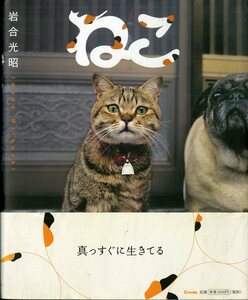 I00009693/▲▲写真集/岩合光昭「ねこ」