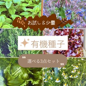 エビス草30/大きなひわまり20/コスモス30 家庭菜園/お試し【自然農】【有機】【無農薬】種子セット