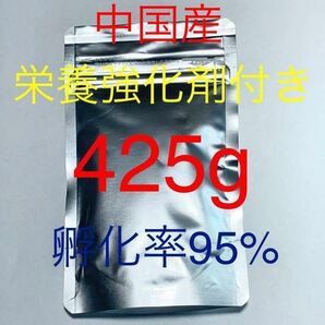 『【全国各地で孵化確認済み】送料無料 おまけ付き 高品質ブラインシュリンプ 中国産 425g 栄養強化剤サンプル付き 2パック小分けの画像1