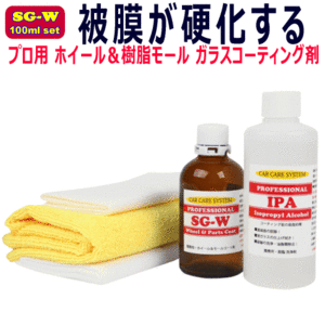 プロ用 ホイールコーティング剤 100ml セット ホイール ＆ 樹脂 モール 硬化型 ガラスコーティング SG-W アルミ ホイール モールコーティン