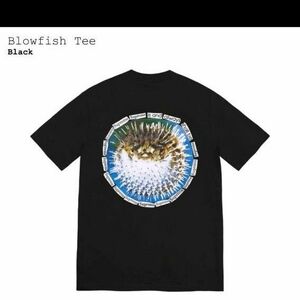 Supreme Blowfish Tee2023ss week18 M