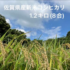 佐賀県産　新米　コシヒカリ　1.2キロ　(8合)